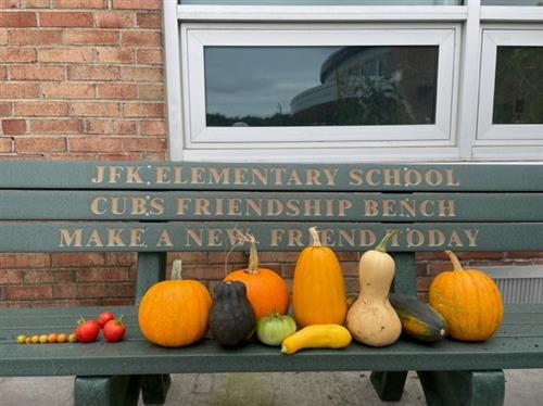 A picture of different types of squash grown in the JFK garden over the summer.